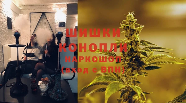 прущие грибы Пролетарск