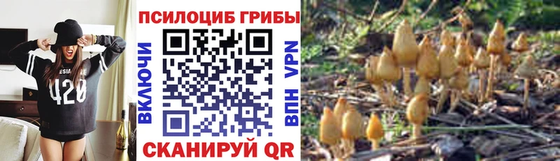 Галлюциногенные грибы мицелий  цена наркотик  Лихославль 